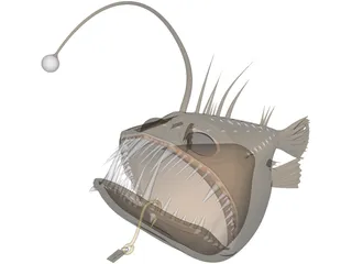 Angler Fish Angus 3D Model