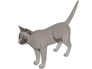 Cat 3D Model