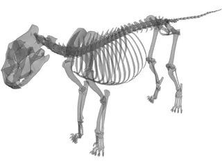 Lion Skeleton 3D Model