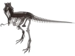 Dinosaur Skeleton 3D Model