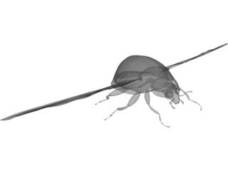 Ladybug 3D Model