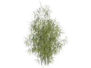 Bamboo Cluster Small 3D Model