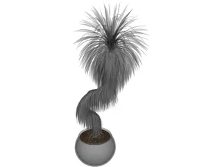 Bonsai Tree 3D Model