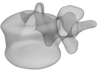 Vertebral Body 3D Model