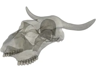 Cow Skull 3D Model