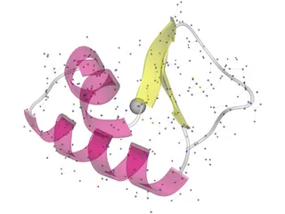 Protein Molecule 3D Model